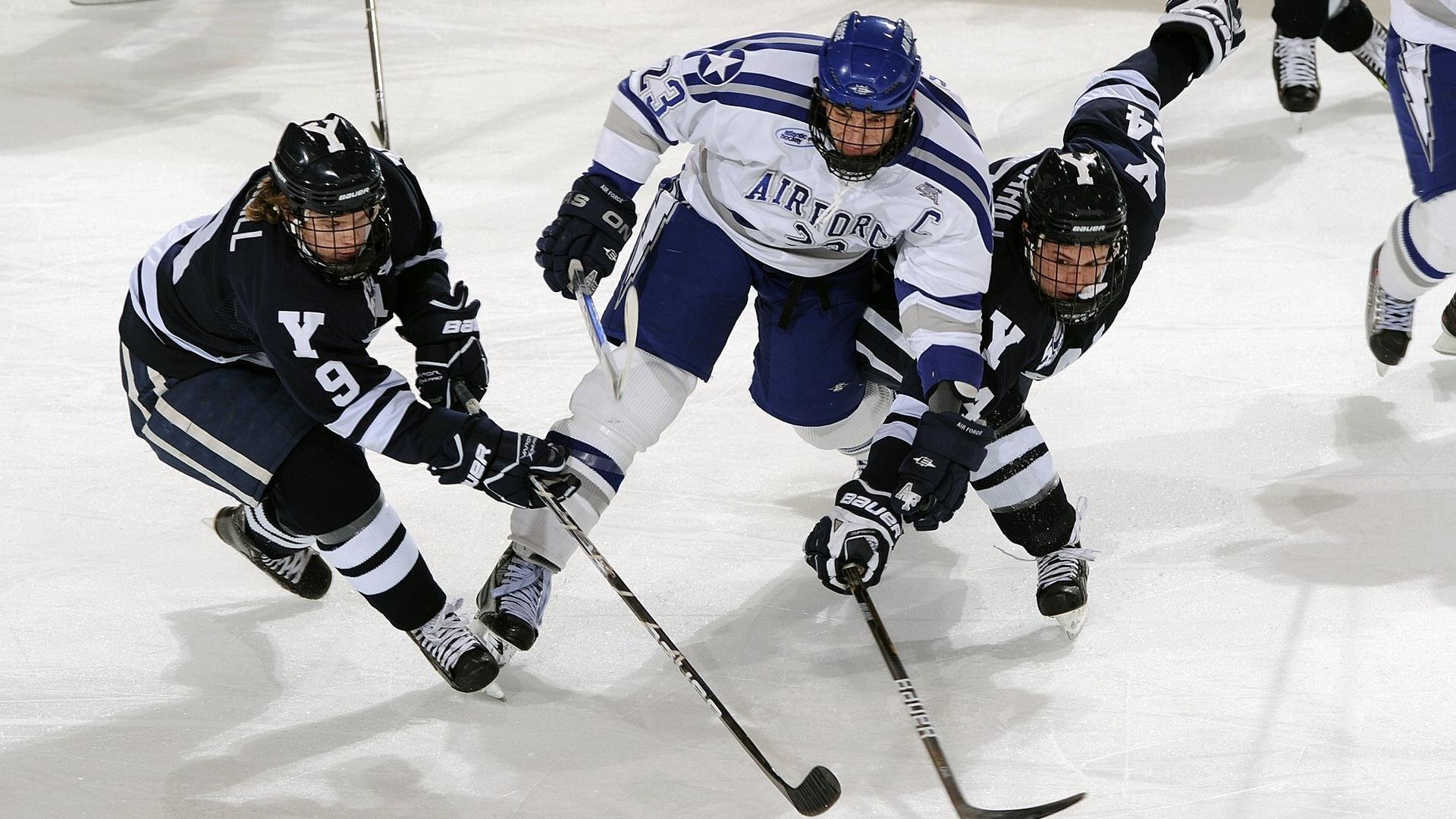 教练组与球员关系密切,促进团队凝聚力,专业的教练员团队